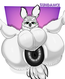 anthro anus balls beak big_anus big_balls black_anus black_spots blue_background border genitals huge_anus huge_balls hyper hyper_anus male nude presenting presenting_anus puffy_anus scrotum_flap simple_background solo spots spread_legs spreading text white_body white_border yellow_sclera bunnyboi0108 avian bird 2025 absurd_res artist_name hi_res nonbinary_(lore)
