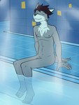 alternate_species anthro barely_visible_genitalia barely_visible_penis bath bathhouse casual_nudity eyes_closed feet furrification genitals humanoid_feet legs_in_water male navel nipples nude partially_submerged penis plantigrade poolside public_bath relaxing side sitting solo steam tile water fuze stardew_valley sebastian_(stardew_valley) canid canine canis mammal wolf 3:4 hi_res