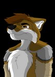 anthro black_eyebrows black_nose bodyshot brown_eyes brown_hair eyebrows fur hair inner_ear_fluff male multicolored_body multicolored_fur solo tan_body tan_fur tuft white_inner_ear_fluff reiyoyote canid canine fox mammal absurd_res alpha_channel hi_res