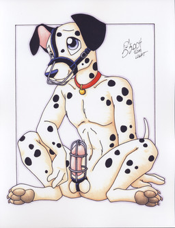 anthro balls bdsm biped black_body black_fur black_spots bondage bound chastity_cage chastity_device collar erection fur genitals humanoid_genitalia humanoid_penis male markings muzzle_(object) muzzled nude penis raised_tail sitting solo spots spotted_body spotted_fur submissive submissive_male tail white_body white_fur michele_light canid canine canis dalmatian domestic_dog mammal 2004 absurd_res hi_res signature traditional_media_(artwork)