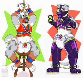 ageplay anthro balls bdsm bondage bound chastity_cage chastity_device clean_diaper clothed clothing collar diaper duo front_view furniture gag genitals humiliation infantilism male object_in_mouth pacifier pacifier_in_mouth roleplay simple_background sitting standing stool wearing_diaper white_background bottlebear australian_shepherd canid canine canis domestic_dog herding_dog mammal pastoral_dog sheepdog absurd_res hi_res