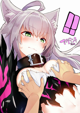 ahoge animal_ears belt blush bodily_fluids clothing crop_top embarrassed female fluffy_ears grabbing_another's_breast green_eyes grey_hair hair hair_between_eyes long_hair medium midriff navel shirt simple_background surprised sweat topwear wavy_mouth white_background yamacchi fate_(series) type-moon atalanta_(fate) berserker_atalanta_alter animal_humanoid cat_humanoid felid felid_humanoid feline feline_humanoid humanoid mammal mammal_humanoid hi_res