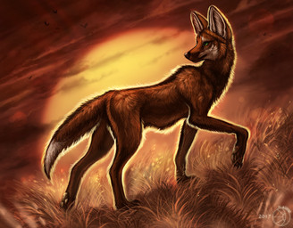 ambiguous_gender big_ears black_claws black_nose black_pawpads brown_body brown_fur butt claws detailed_background detailed_fur digitigrade dipstick_tail dutch_angle feet feral flying fur grass green_eyes group hindpaw inner_ear_fluff leg_markings lens_flare light long_mouth looking_back markings multicolored_tail nature no_sclera nude outside pawpads paws plant shadow side_view snout socks_(marking) solo_focus standing sun sunlight sunset tail tail_markings toes tuft walking whiskers white_body white_fur white_tail_tip flashw avian canid canine mammal maned_wolf 2017 detailed digital_media_(artwork) digital_painting_(artwork) painting_(artwork)