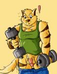 ! anthro balls biceps big_muscles big_penis blush body_markings bottomless cat chance_furlong chest_tuft clothing feline fur humanoid_penis lowemond male markings muscles pants pants_down pecs penis presenting sheath shirt solo standing stripes swat_kats tank_top tuft weightlifting weights
Rating: Explicit
Score: 9
User: ruina
Date: November 28, 2013