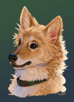 black_nose brown_eyes collar ear_tuft female feral fur green_background male realistic simple_background solo tan_body tan_fur tuft white_body white_fur young lesventin bird_dog canid canine canis domestic_dog hunting_dog labrador mammal retriever absurd_res hi_res sketch