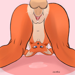 ahegao anthro balls bodily_fluids breasts cross-eyed doggystyle duo female from_behind_position genital_fluids genitals hands_behind_head liquid looking_pleasured looking_through looking_through_legs male male/female nipples nude offscreen_male penetration penis rear_view sex vaginal vaginal_fluids vaginal_penetration vulva vandele hi_res