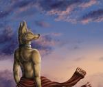 anthro beach clothed clothing cloud collar fur looking_at_viewer male metal_collar outside seaside sky solo standing star sunrise topless sellon red_lantern amon_(rukis) canid canine canis golden_jackal jackal mammal 2017 hi_res