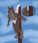 anthro anthrofied biped black_nose bodily_fluids breath briefs brown_body brown_eyes brown_fur bulge butt clothed clothing colored_seam_underwear detailed_bulge erection erection_under_briefs erection_under_clothing eyebrows feet fur genital_outline hanging_wedgie male male_anthro multicolored_body multicolored_fur panting penis_outline pole solo stretched_clothing stretched_underwear stuck suspension sweat tail tenting tighty_whities tongue tongue_out topless two_tone_body two_tone_fur underwear underwear_only wedgie wedgie_fetish white_briefs white_clothing white_seam_underwear white_underwear yellow_sclera hatio358 balto_(series) universal_studios balto canid canine canis domestic_dog husky hybrid mammal nordic_sled_dog spitz wolfdog hi_res