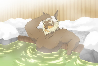 anthro bathing beard brown_body brown_fur clothed clothing facial_hair fur hot_spring male mature_male mustache partially_submerged solo topless topless_anthro topless_male water pla0net5lai8ka cyberconnect2 fuga:_melodies_of_steel little_tail_bronx colonel_pretzel canid canine caninu canis domestic_dog mammal hi_res