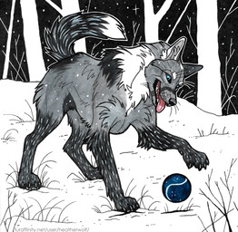 ambiguous_feral ambiguous_gender ball black_nose blue_eyes fangs feral fur glistening glistening_eyes grass grey_body grey_fur leg_tuft outside plant playful red_tongue solo teeth text tongue tree tuft whiskers white_body white_fur heatherwolf canid canine mammal url