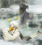 anthro bathing beak birdbath black_body black_feathers duo feathers hot_spring male nude rubber_duck steam towel water white_body white_feathers sheep_riritoto breath_of_the_wild nintendo the_legend_of_zelda harth_(tloz) teba_(tloz) avian rito