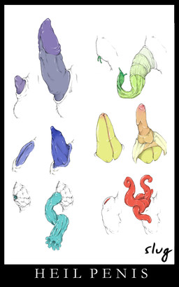 animal_genitalia blue_penis chart curved_penis disembodied_penis erection fully_sheathed genitals green_penis group male not_furry penis penis_chart penis_tentacles penis_tip pinking_tipped_penis prehensile_penis purple_penis red_penis sheath tentacles uhoh unusual_anatomy unusual_genitalia unusual_penis yellow_penis oddbird ambiguous_species 5:8 digital_media_(artwork) hi_res