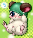 anus balls blush lying male on_back one_eye_closed penis shy simple_background solo spreading spread_legs text box_xod hamtaro_(series) cappy_(hamtaro) cricetid hamster mammal rodent 2012 japanese_text low_res