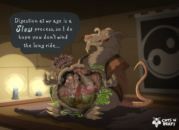 abdominal_bulge after_vore anthro balls belly big_belly bodily_fluids dialogue duo fur genitals grey_body grey_fur huge_belly internal male male/male male_pred male_prey mature_male nude organs penis pink_nose rumbling_stomach same_size_vore speech_bubble stomach stomach_acid struggling struggling_prey text vore whiskers catsnbriefs teenage_mutant_ninja_turtles master_splinter witty_wesker american_opossum mammal marsupial murid murine rat rodent 11:8 english_text hi_res