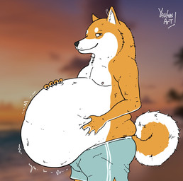 ambiguous_gender anthro beach belly big_belly black_eyes blue_bottomwear blue_clothing blue_shorts bottomwear clothing hand_on_belly looking_at_viewer navel orange_arms orange_body orange_ears orange_tail overweight rumbling_stomach shorts solo tail text white_belly yauhasart canid canine mammal 2025 english_text flat_colors hi_res watermark