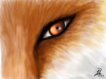 ambiguous_gender close-up eye_shot eyes_close-up feral fur limbal_ring orange_body orange_eyes orange_fur solo naaby canid canine fox mammal red_fox true_fox 2011 4:3 digital_media_(artwork) digital_painting_(artwork) painting_(artwork) signature