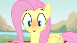 blush day dialogue female feral fur green_eyes hair half-closed_eyes humor long_hair looking_at_viewer narrowed_eyes on_model outside picnic_blanket pink_hair smile solo surprise tail wings yellow_body yellow_fur canaryprimary endymion_(va) friendship_is_magic hasbro my_little_pony fluttershy_(mlp) equid equine horse mammal pony 16:9 2023 2d_animation animated digital_media_(artwork) hi_res short_playtime sound voice_acted webm widescreen