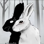 black_body black_eyes black_fur duo feral forest fur male outside plant tree whiskers white_body white_eyes white_fur thembiemoth rusty_lake rusty_lake_roots mr._rabbit lagomorph leporid mammal rabbit spirit 1:1 2024 hi_res