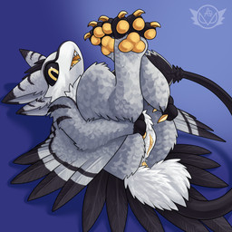anthro anus biped black_body black_feathers black_sclera claws clitoris curled_up digitigrade feathers feet female female_anthro genitals grey_body grey_feathers holding_both_legs legs_up lying multi_ear neck_tuft on_back pawpads playful_face presenting presenting_vulva sharp_teeth simple_background solo tail tail_feathers talons teeth thin_tail toes tongue tuft vulva white_body white_feathers winged_arms wings yellow_eyes yellow_paws yellow_tongue yellow_vulva anonymous_gardevoir sevrynn_the_anchor avali avian 1:1 absurd_res hi_res