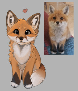 :3 ambiguous_gender bed brown_body brown_ears brown_eyes brown_fur brown_nose cat_smile cheek_tuft closed_smile dipstick_tail facial_tuft feral fur furniture head_tuft inner_ear_fluff looking_at_viewer markings mouth_closed multicolored_body multicolored_fur neck_tuft orange_body orange_fur real simple_background sitting smile solo tail tail_markings text tuft whisker_spots whiskers white_body white_fur feve canid canine fox mammal red_fox true_fox 2026 artist_name hi_res reference_image