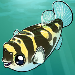 ambiguous_gender countershade_torso countershading dorsal_fin feral fin open_mouth open_smile smile solo tail tail_fin translucent_fin underwater water flamingpickle amazon_puffer fish marine pufferfish tetraodontiform 1:1