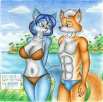 2024 abs anthro athletic athletic_anthro athletic_male big_breasts bikini bikini_bottom bikini_top blue_body blue_fur blue_hair breasts canid canine clothing duo fangs female fox fox_mccloud fur hair hi_res krystal_(star_fox) male male/female mammal navel nintendo orange_body orange_fur sign sinaherib smile speech_bubble star_fox story story_in_description swimwear teeth two-piece_swimsuit water