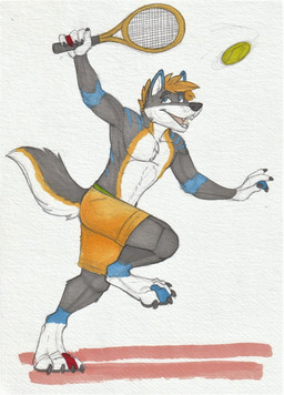 anthro athletic athletic_anthro athletic_male ball black_claws black_nose black_pawpads blonde_hair blue_eyes bottomwear claws clothed clothing fur grey_body grey_fur hair happy male male_anthro markings open_mouth open_smile pawpads playing_tennis shorts side_view simple_background smile solo tennis_ball tennis_racket topless white_background white_body white_fur yellow_bottomwear yellow_clothing yellow_markings yellow_shorts hufnaar hi_res