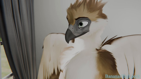 anthro anthro_on_anthro bedroom_eyes blue_body blue_fur breasts curtains curtains_open dolly_zoom duo eyeshadow female fur furniture light light_beam looking_at_another looking_out_window makeup male male/female narrowed_eyes nipples nude nude_anthro nude_female pink_nipples rug seductive sheathed_tapering_penis short_stack size_difference sofa sunbeam sunlight tail tail_motion tailwag touching_crotch touching_thigh bananastheleech ruaidri_(modeler) kraft_trio raket_(boone_zofox) accipitrid accipitriform avian bird eagle felid feline mammal philippine_eagle 16:9 3d_(artwork) 3d_animation american_sign_language animated digital_media_(artwork) hi_res no_sound short_playtime sign_language widescreen