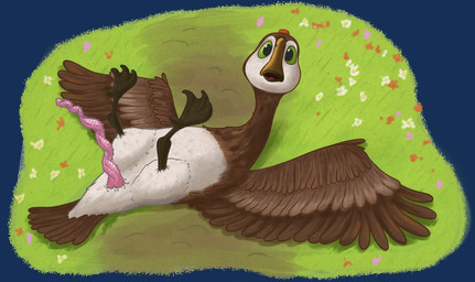 anatomically_correct anatomically_correct_genitalia anatomically_correct_penis animal_genitalia avian_feet beak belly black_feet brown_body brown_feathers brown_tail_feathers brown_wings cloaca cloacal_penis curled_penis feathers feet feral flower genitals grass green_eyes legs_up looking_at_viewer lying male on_back open_mouth outside penile_spines penis pink_penis plant prehensile_penis solo spread_wings tail tail_feathers white_belly white_body white_face white_feathers wings monocerus dreamworks the_wild_robot brightbill_(the_wild_robot) anatid anseriform anserine avian bird goose absurd_res alpha_channel hi_res huge_filesize