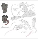 absurd_res alien alien_(franchise) barefoot claws english_text facehugger feet female foot_fetish foot_focus hi_res humanoid_feet kredri lesser_hybrid letterbox model_sheet paws plantigrade simple_background slime soles solo tail teeth_showing text toe_claws toes tongue