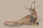 anthro barefoot bottomwear braided_hair clothing feet female hair looking_at_viewer lying on_ground on_side pawpads shirt shorts solo tank_top text topwear risuthesquirrel r'jirra caracal caracal_(genus) felid feline mammal absurd_res hi_res russian_text