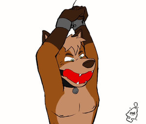 ball_gag bdsm bondage bound brown_body brown_fur captured cuff_(restraint) escaping fur gag gagged handcuffs lock male metal_cuffs restraints simple_background smile smirk submissive submissive_male white_background smallsavant canid canine fox mammal true_fox 2d_animation animated frame_by_frame no_sound short_playtime video