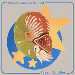 ambiguous_gender blue_border border circle feral grey_background hashtag moss plant pupils red_shell shell simple_background slit_pupils solo spots star_(shape) stripes tentacles text cuttledreams aquatic cephalopod fuzzy_nautilus mollusk nautilus 1:1 2024 dated digital_drawing_(artwork) digital_media_(artwork) english_text species_name watermark