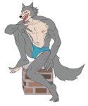 anthro athletic athletic_anthro athletic_male blue_clothing blue_speedo blue_swimwear blush brick_block bulge claws clothed clothing fur gesture grey_body grey_fur hand_gesture looking_at_viewer male navel nipples open_mouth plantigrade sharp_teeth simple_background sitting smile solo speedo speedo_only swimwear tan_body tan_fur teeth tongue tongue_out topless v_sign white_background white_claws moonelmalito beastars legoshi_(beastars) canid canine canis mammal wolf absurd_res hi_res