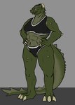 anthro breasts clothed clothing female green_hair hair hornless mature_female multicolored_body muscular muscular_female simple_background solo tail two_tone_body yellow_eyes tolerain mythology valyrie_(tolerain) dragon mythological_creature mythological_scalie scalie hi_res