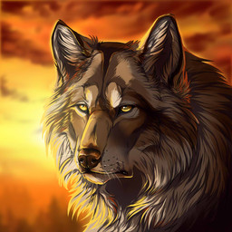 ambiguous_gender brown_body brown_fur brown_nose day detailed_background feral fur outside sky solo sun yellow_eyes wolfroad canid canine canis mammal wolf 1:1 2015 digital_media_(artwork) headshot_portrait icon portrait