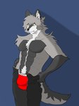 3:4 anthro bulge canid canine canis detailed_bulge fur grey_body grey_fur heishi_(fursona) hi_res lycan_oskari male mammal muscular muscular_male solo white_body white_fur wolf