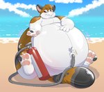 anthro beach belly belly_inflation big_belly blue_sky brown_body brown_eyes brown_hair eyewear front_view fur glasses glistening glistening_eyes grey_body grey_ears grey_pawpads hair hose hose_inflation huge_belly hyper hyper_belly inflatable inflation male nozzle nozzle_on_belly nude outside pawpads pink_inner_ear pink_pawpads sand short_hair sitting sky solo water wearing_glasses white_body white_fur bunnykisses chris_(onewithlogic) animate_inanimate calico_cat domestic_cat felid feline felis living_inflatable living_pool_toy mammal absurd_res hi_res