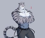 anthro bottomwear clothing crossed_arms fur male muscular muscular_anthro muscular_male navel pecs solo standing stripes whisker_spots whiskers ixkouu felid mammal pantherine tiger 2021