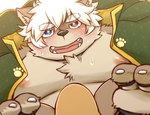 anthro blush bodily_fluids brown_body brown_fur clothed clothing erection erection_under_clothing fur hair heterochromia looking_at_viewer male moobs nipples overweight overweight_male solo sweat white_hair young young_anthro dosanco15 lifewonders tokyo_afterschool_summoners masashi_(tas) canid canine canis domestic_dog mammal hi_res