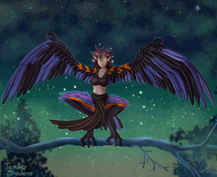 branch clothing crouching feathered_wings feathers female hair night plant pointy_ears solo spread_wings star text tree wings tendershadows european_mythology greek_mythology mythology avian harpy humanoid mythological_avian mythological_creature absurd_res clip_studio_paint_(artwork) digital_media_(artwork) english_text hi_res watermark