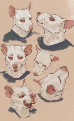 albino anthro clothing front_view fur high-angle_view licking licking_lips licking_own_lips male male_anthro multiple_angles notched_ear open_mouth orange_background red_sclera shirt side_view simple_background solo teeth tongue tongue_out topwear whiskers white_body white_fur contort_desire toilet_(contort_desire) mammal murid murine rat rodent headshot_portrait hi_res portrait