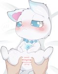 ambiguous_gender arctic_fox blue_body blue_eyes blue_fur blush canid canine censor_bar censored disembodied_hand duo embarrassed faceless_character faceless_human female female_on_humanoid first_person_view fox fur genitals hi_res himimi human human_pov humanoid jewelpet jewelry larimar_(jewelpet) looking_away mammal necklace pov_hands pussy sanrio sega sega_toys semi-anthro snowflake spread_pussy spreading true_fox white_body white_fur