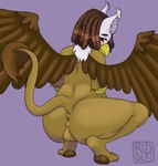 anthro balls beak brown_balls brown_hair brown_wings crouching dreadlocks ear_tuft feathered_wings feathers genitals hair logo looking_at_viewer male mouth_closed nude rear_view solo tail tail_tuft tan_balls tan_body tuft wings yellow_beak yellow_eyes riddlr mythology avian gryphon mythological_avian mythological_creature artist_logo hi_res