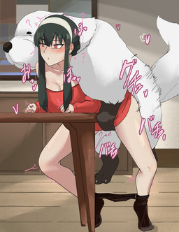 bestiality duo female feral furniture male male/female table unknown_artist spy_x_family bond_(spy_x_family) yor_forger canid canine canis domestic_dog human mammal