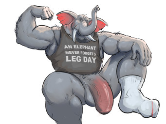 5_fingers anthro arm_hair balls barazoku biceps big_balls big_muscles big_penis biped black_clothing black_shirt black_tank_top black_topwear body_hair bottomless bottomless_anthro bottomless_male clothed clothed_anthro clothed_male clothing fingers fist flaccid flexing flexing_bicep footwear genitals grey_balls grey_body hand_on_knee hand_on_leg hand_on_own_knee hand_on_own_leg humanoid_genitalia humanoid_hands humanoid_penis looking_at_viewer male male_anthro manly monotone_background muscular muscular_anthro muscular_male penis pink_penis plantigrade proboscis_(anatomy) shirt shoulder_hair simple_background sitting socks solo tank_top text text_on_clothing text_on_shirt text_on_tank_top text_on_topwear three-quarter_view topwear trunk_(anatomy) tusks vein veiny_penis white_background white_clothing white_footwear white_socks white_tusks dullaram elephant elephantid mammal proboscidean 4:3 digital_media_(artwork) english_text hi_res portrait shaded