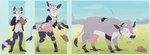 anthro bovine_teats bovine_udders clothing eyewear female feral glasses male mental_transformation teats torn_clothing transformation udders fauvfox okietheraccoon bovid bovine cattle mammal procyonid raccoon hi_res