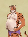 anthro beer_belly belly big_belly body_hair brown_hair chest_hair clothing hair happy_trail holding_belly looking_at_viewer male mutton_chops navel nipples overweight overweight_male smile smirk solo standing tail underwear amarox liam_(amarox) felid mammal pantherine tiger absurd_res digital_drawing_(artwork) digital_media_(artwork) hi_res