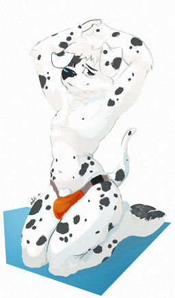 animal_genitalia anthro arm_tuft biped black_body black_ears black_eyebrows black_fur black_nose black_pawpads black_spots black_tail blue_eyes blush bulge cheek_tuft chest_tuft elbow_tuft eyebrows facial_tuft floppy_ears front_view fully_sheathed fur genitals glistening glistening_nose hair hands_above_head kneeling looking_at_viewer male markings navel pawpads pose sheath short_hair simple_background smile solo spots spotted_arms spotted_body spotted_fur spotted_legs spotted_markings spotted_tail tail tail_markings tuft white_background white_ears white_hair white_sheath white_tail oselotti canid canine canis dalmatian domestic_dog mammal 2014 dated hi_res signature
