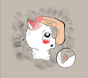 anthro assihe_(nikomation) ball_sniffing balls big_penis blush bodily_fluids dripping duo excited fur genital_fluids genitals glistening glistening_eyes glowing glowing_eyes humanoid_genitalia humanoid_penis male male/male penis penis_on_face precum saliva saliva_drip saliva_on_face small_penis sniffing steam text white_body white_fur nikomation domestic_cat felid feline felis human mammal